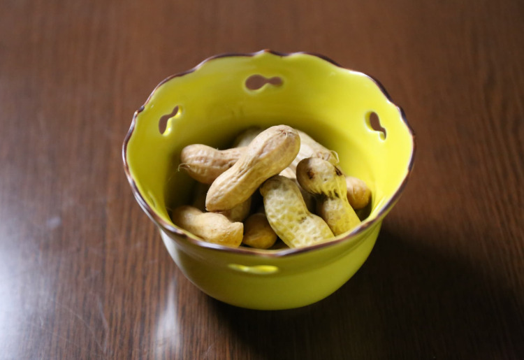 15.生落花生の塩茹で(Boiled raw peanuts with salt)